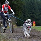 Schlittenhundewagenrennen Reingers 2014 – Part 7