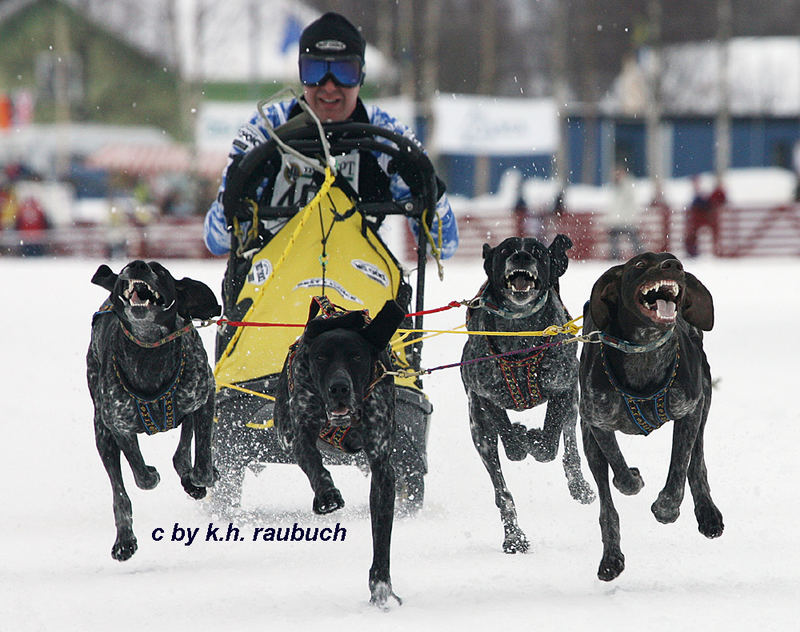 Schlittenhundeweltmeisterschaften Gafsele/Schweden 2007