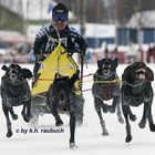 Schlittenhundeweltmeisterschaften Gafsele/Schweden 2007