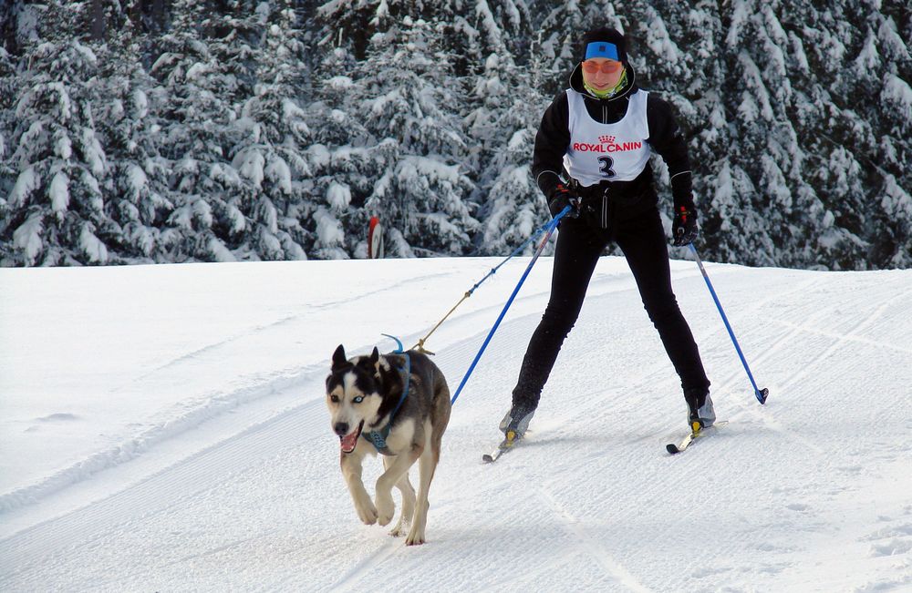 Schlittenrennen in Sandl- 2010- Part 2