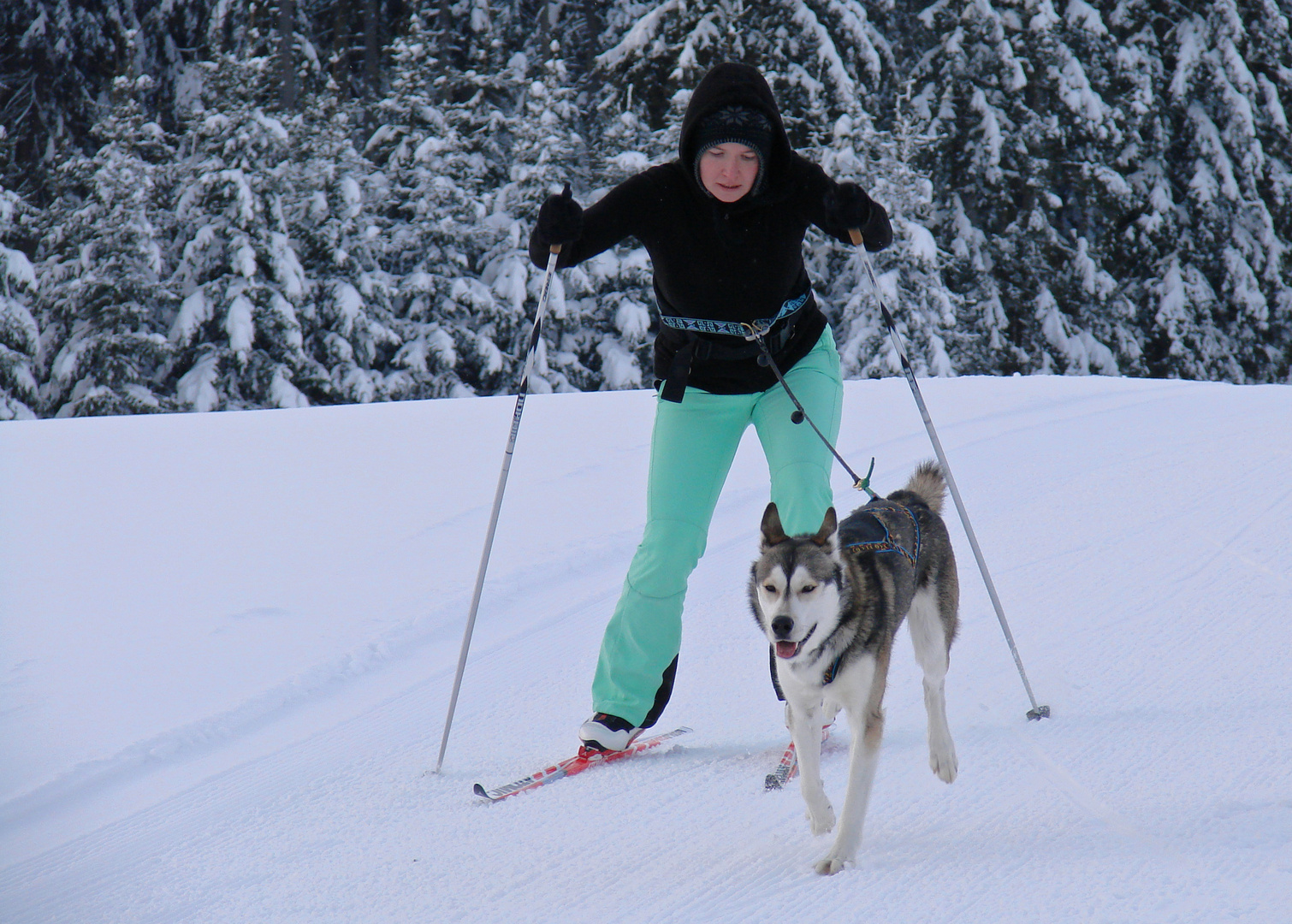 Schlittenrennen in Sandl- 2010- Part 3