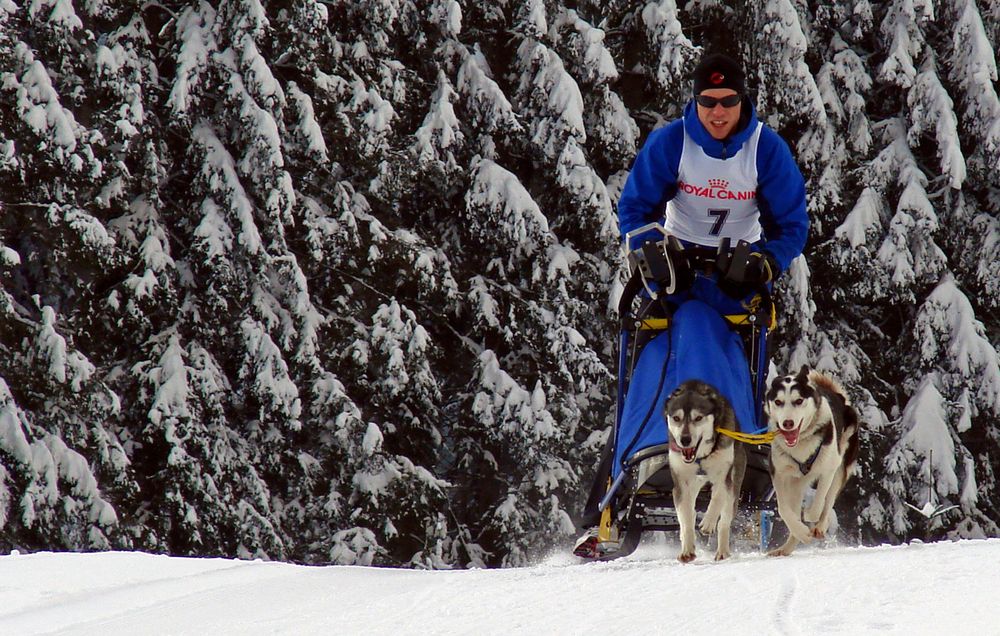 Schlittenrennen in Sandl- 2010- Part 4