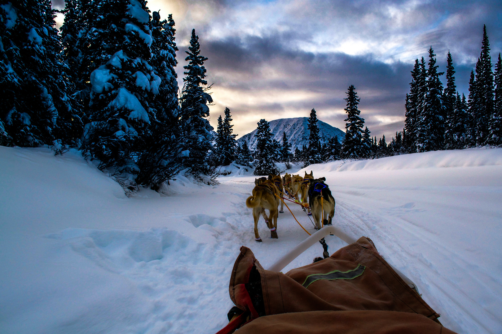 Schlittentour in Yukon (Canada) bei -25 Grad