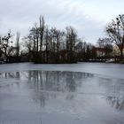 Schlittschuhbahn für Wildenten