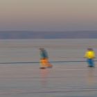 Schlittschuhläufer auf dem Steinhuder Meer