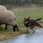 Schlittschuhläuferin?