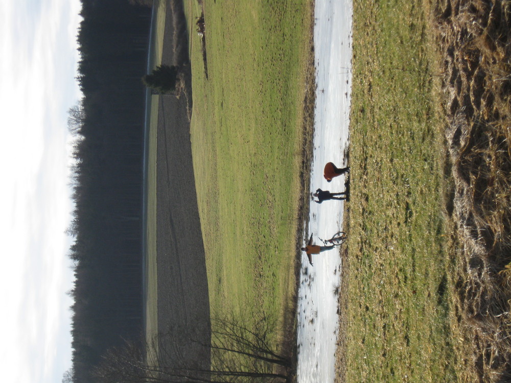 Schlittschuhlauf im Grünen