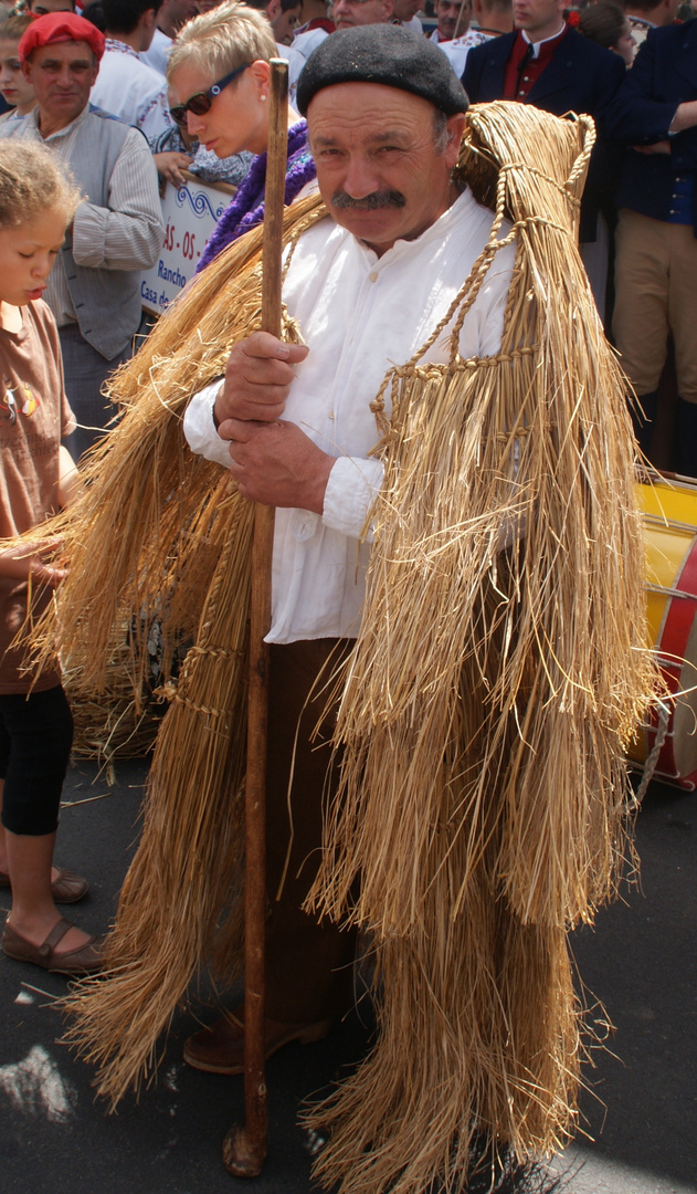 Schlitzer Trachtenfest 2011: Strohumhang