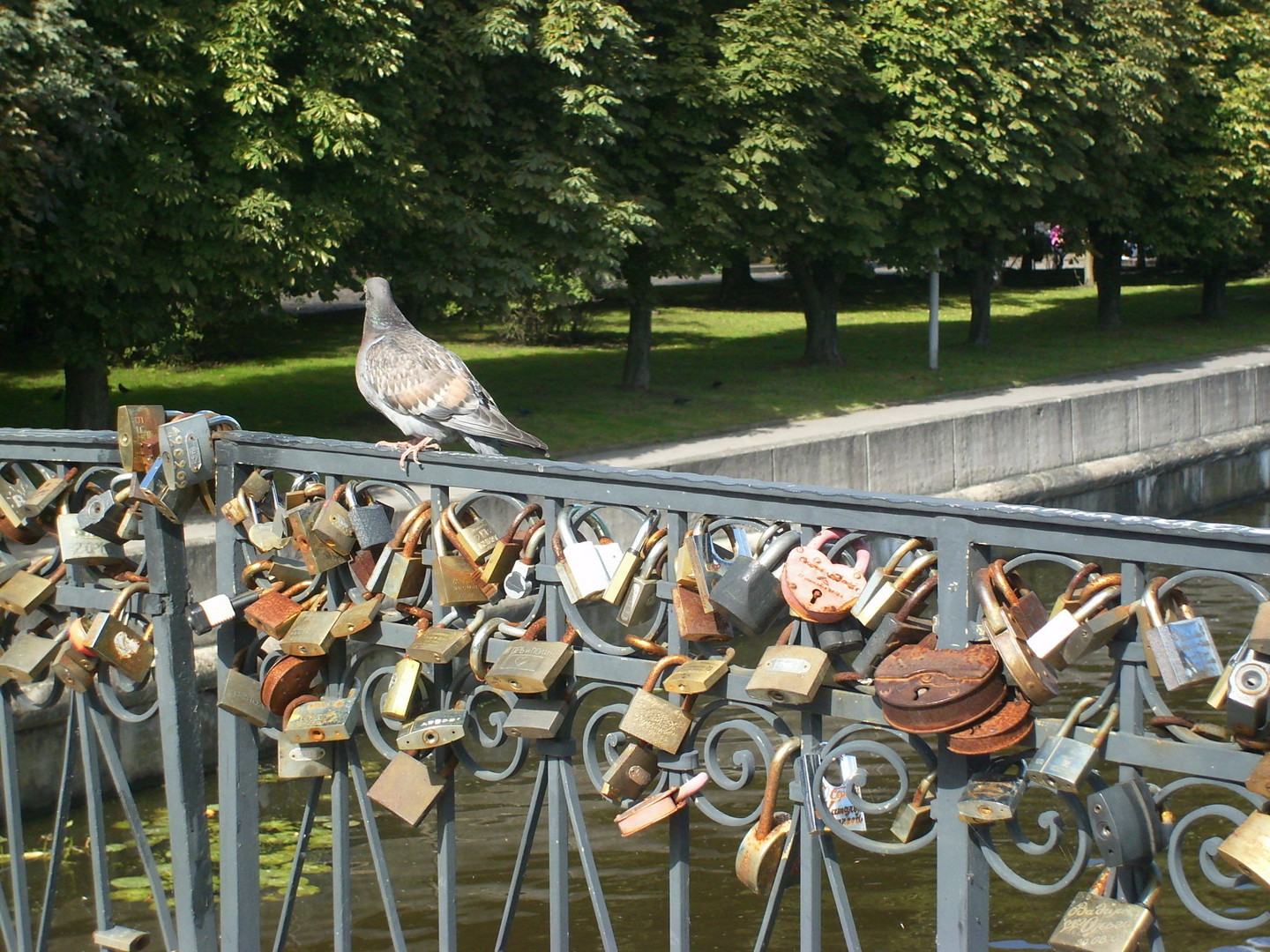 Schlösser an der Brücke zum Kaliningrader Dom