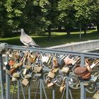 Schlösser an der Brücke zum Kaliningrader Dom