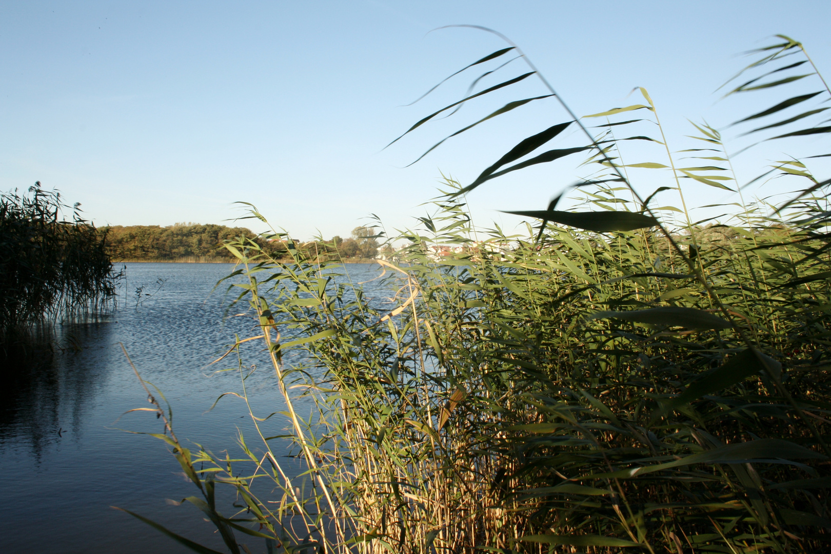 Schloonsee in bansin