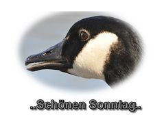 Schlopa-Gesicht - und heut ohne Gedicht