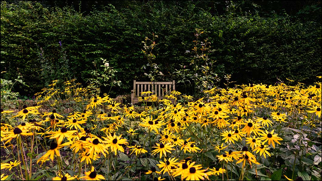 Schloss Agathenburg im Schlossgarten Foto & Bild landschaft, garten