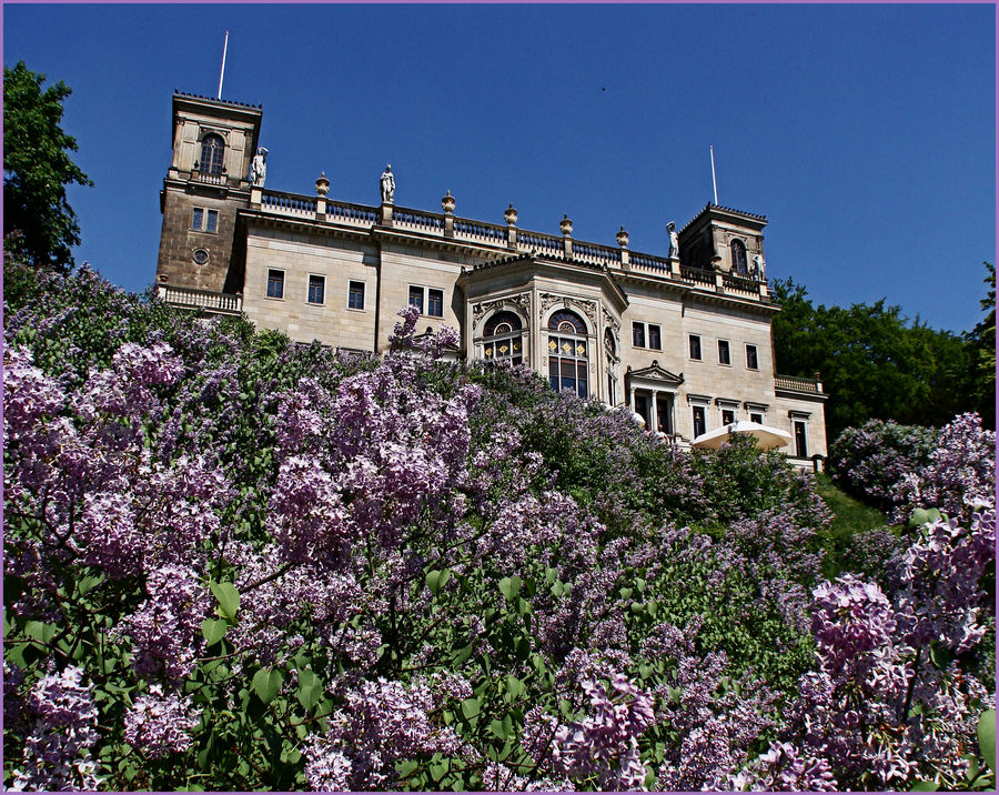 Schloss Albrechtsberg an der Elbe.