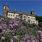 Schloss Albrechtsberg an der Elbe.