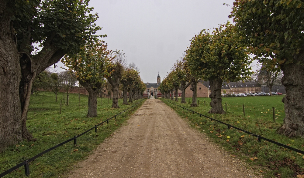 Schloss Alden Biesen V