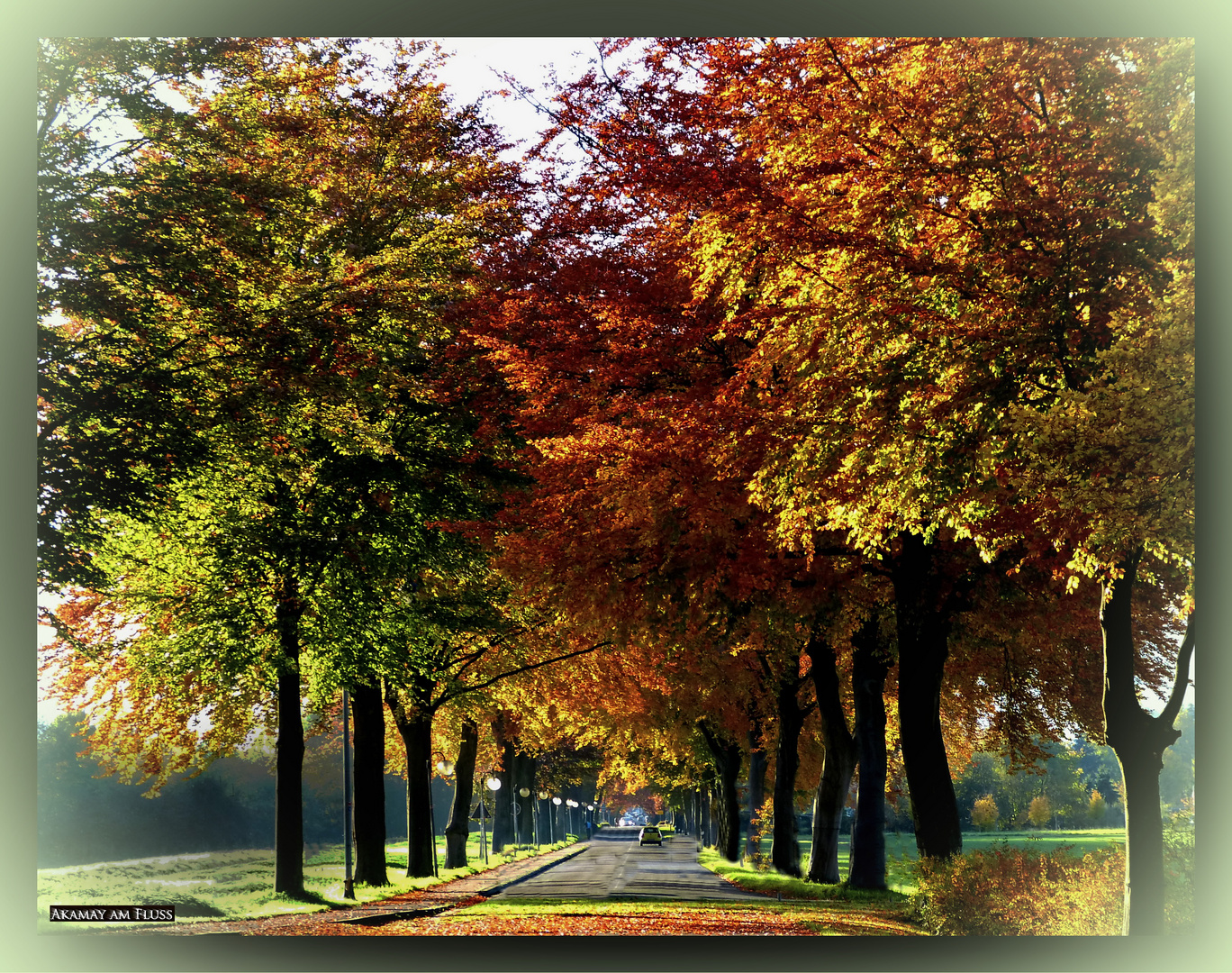 Schloss-Allee im Herbstkleid