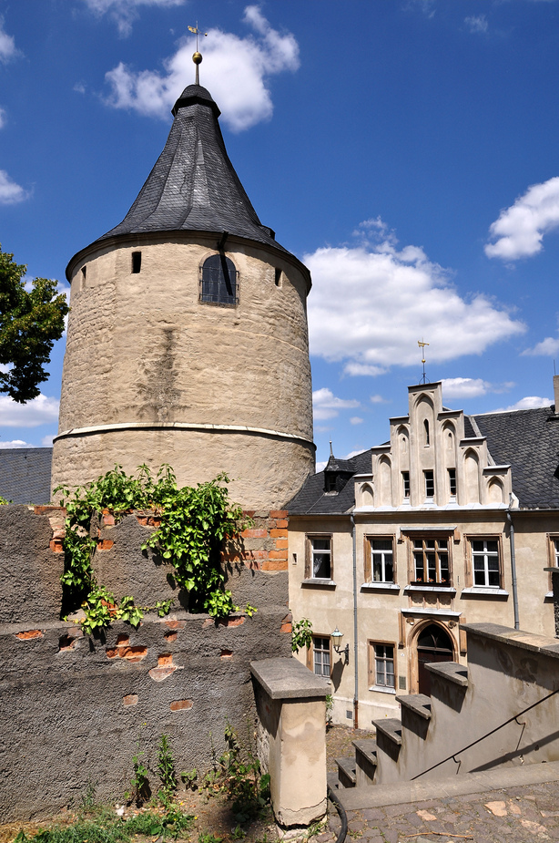 Schloss Altenburg........Bild 4 ..........Serie 1 / Flasche..........