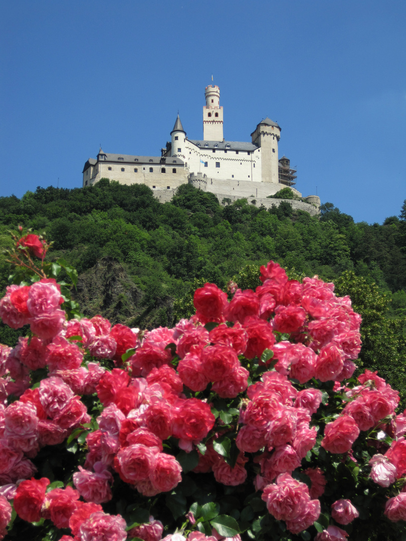 Schloss am Rhein