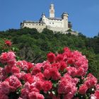 Schloss am Rhein