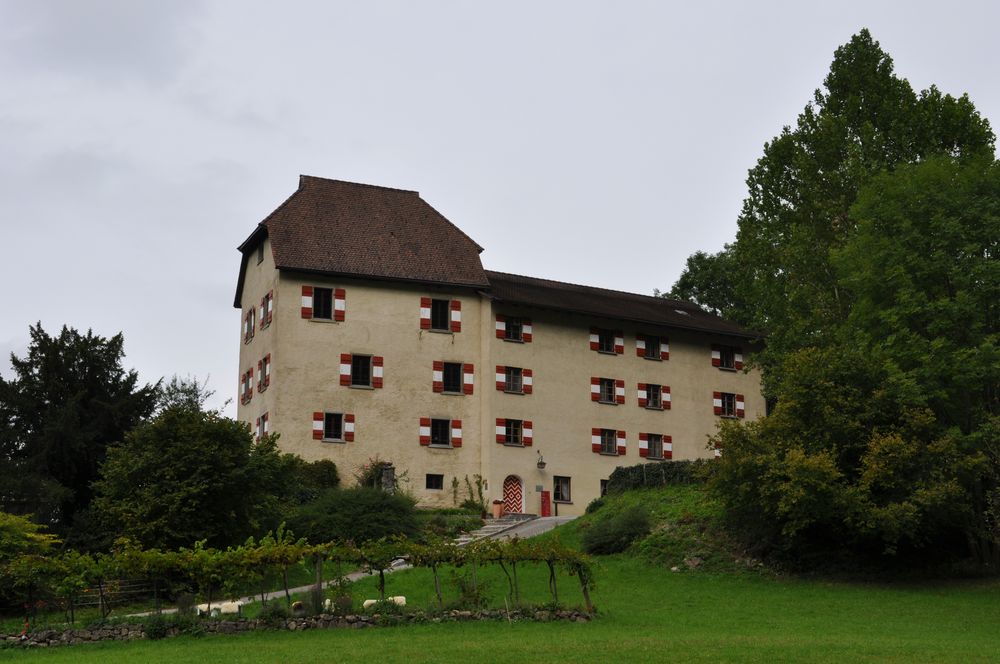 Schloss Amberg Feldkirch ( A )