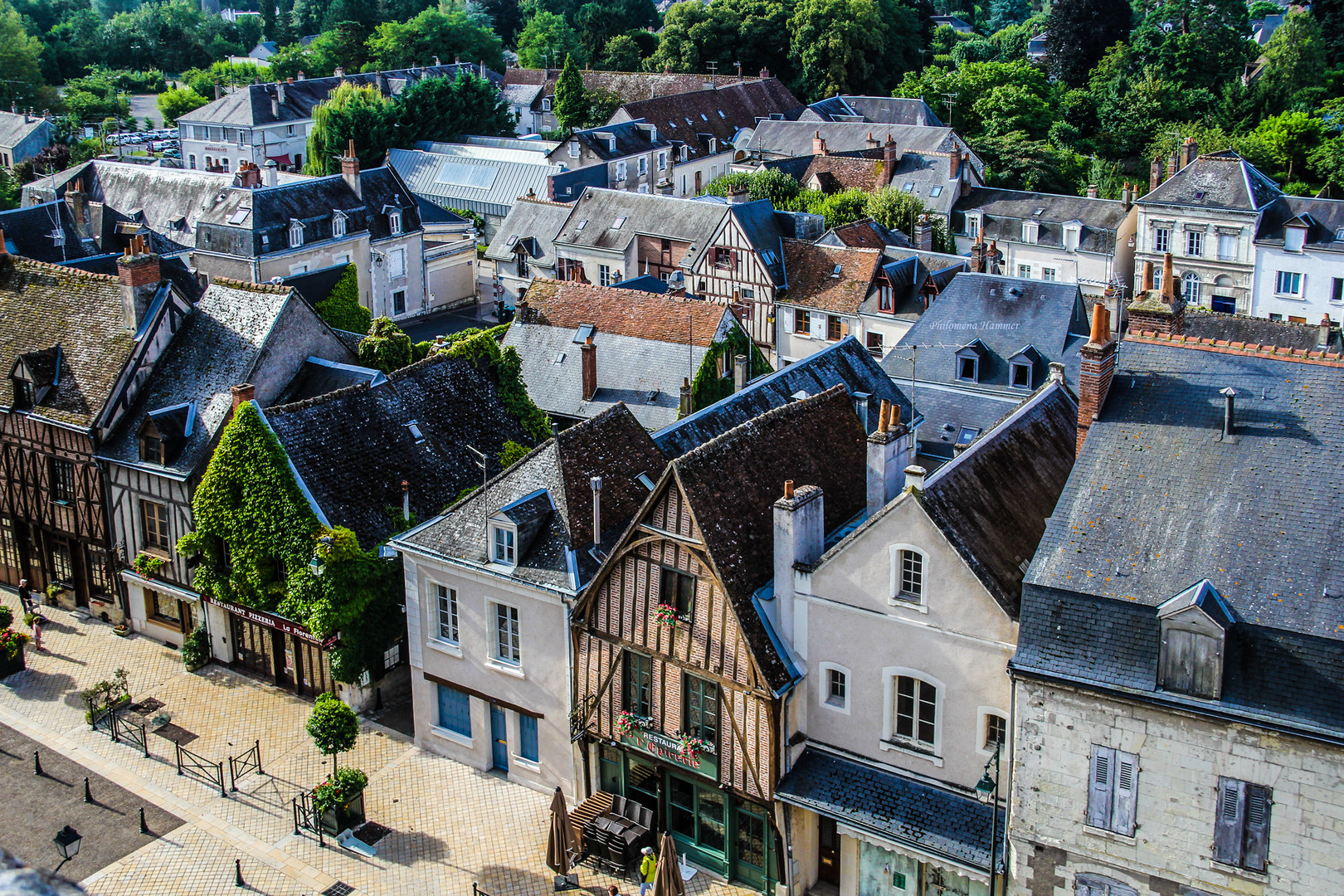 Schloss-Amboise---Impression-2