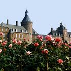 schloss anholt mit rosengarten