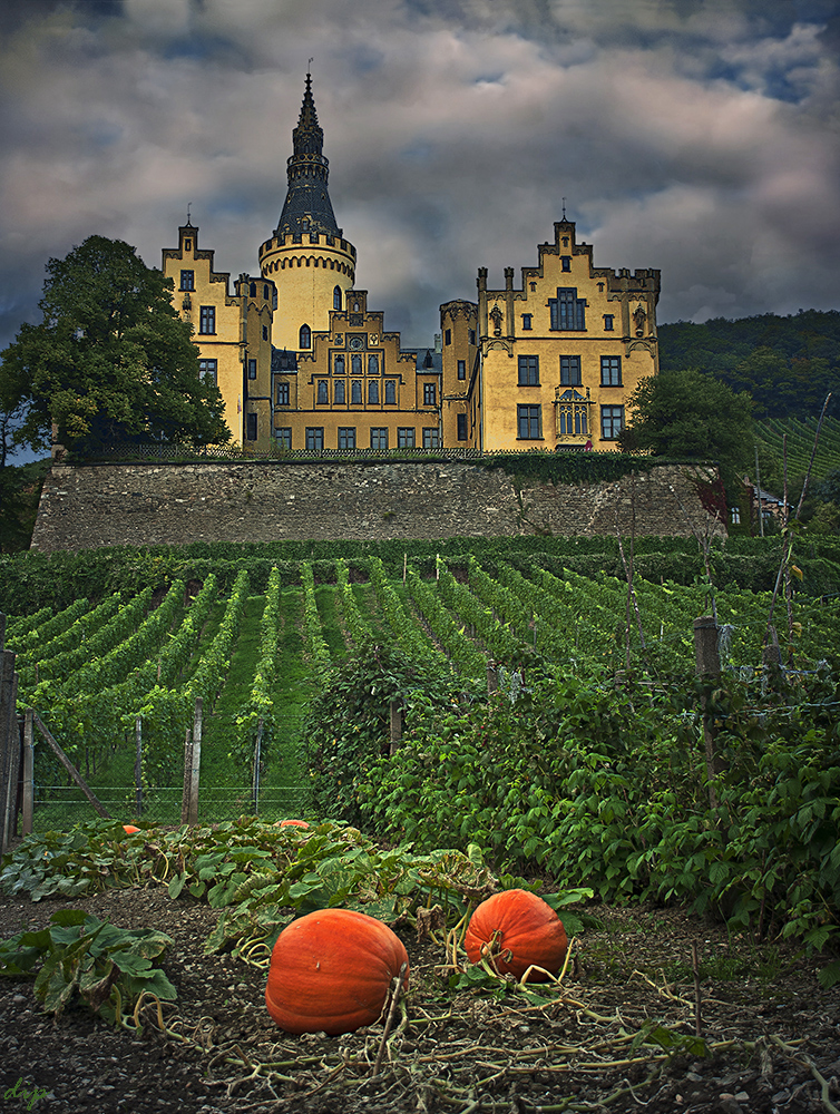 Schloß Arenfels