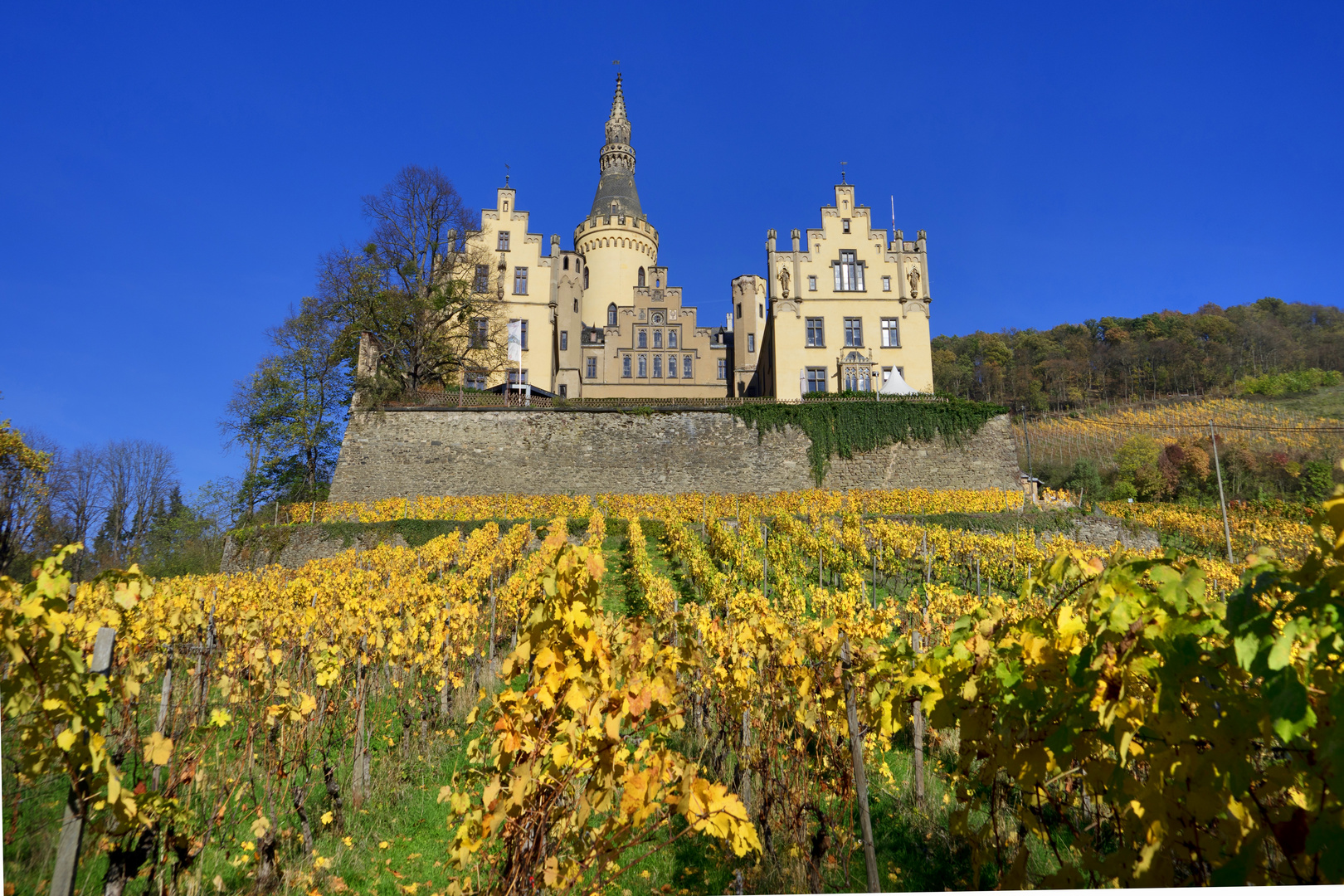 Schloss Arenfels