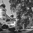 Schloss Artstetten, Erzherzog Franz Ferdinand