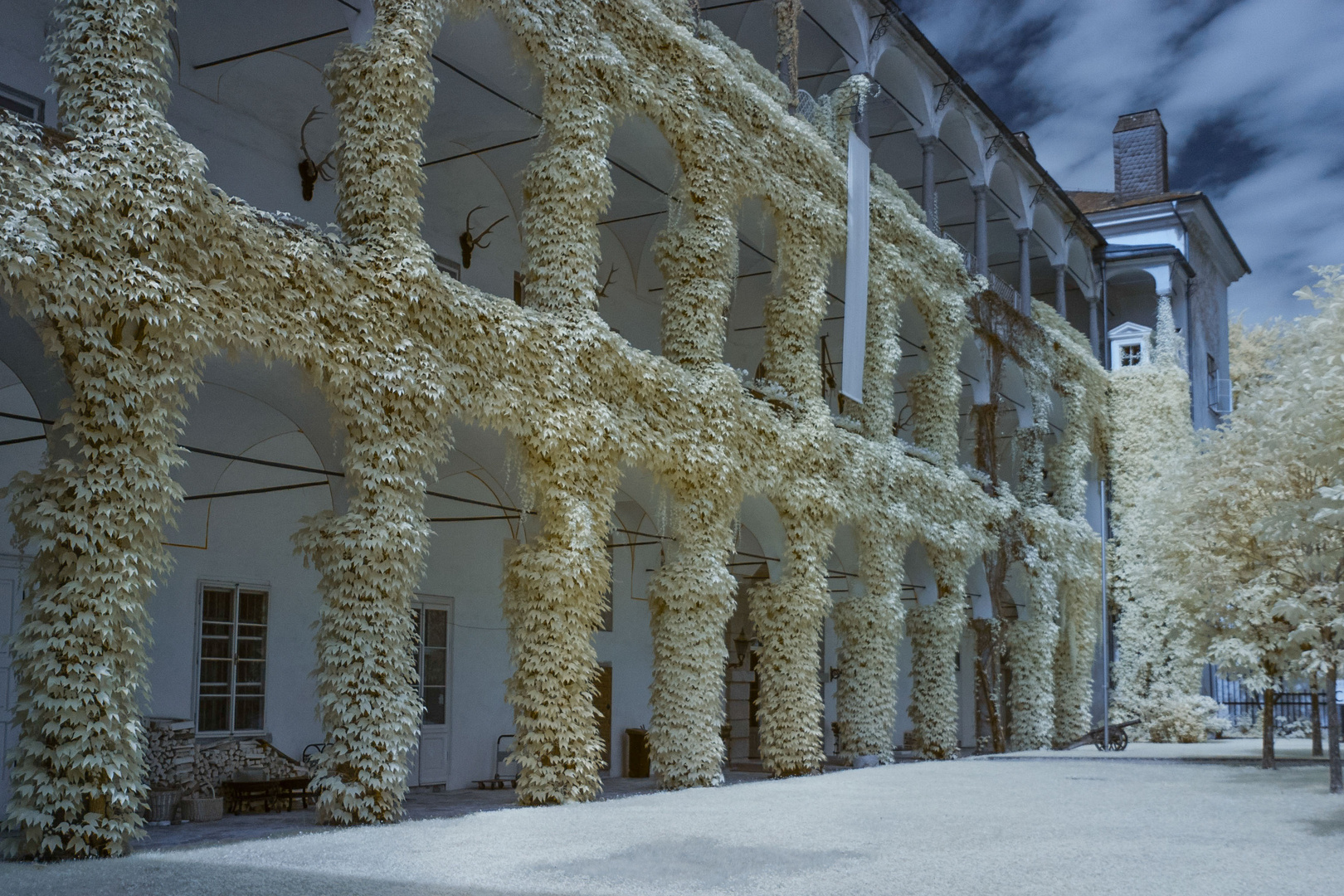 Schloss Aschach IR  - Arkadengang