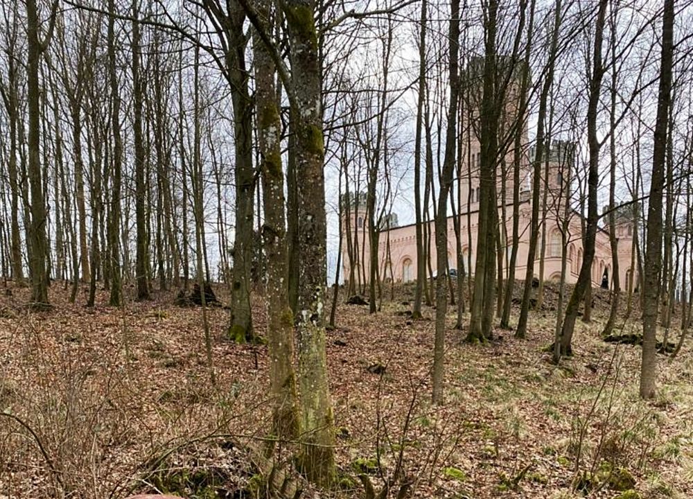 Schloss auf Rügen