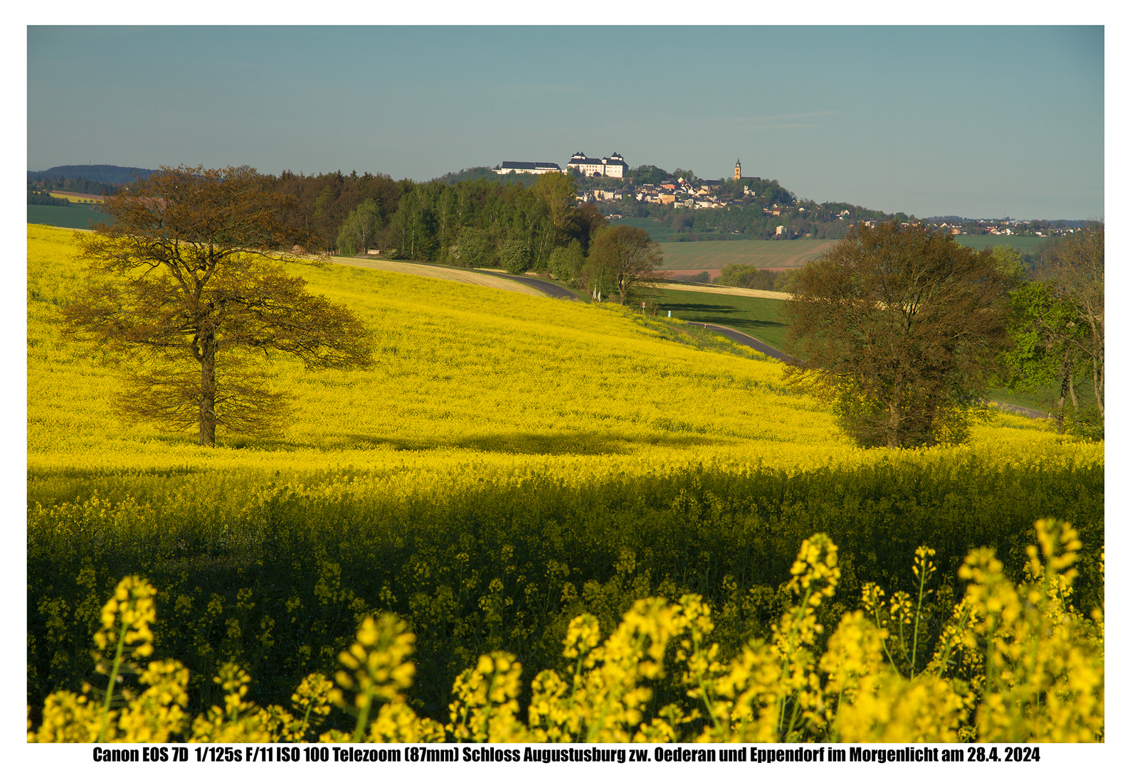 Schloss Augustusburg 