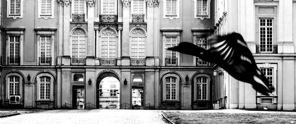 Schloss Augustusburg Brühl 5