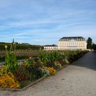 Schloss Augustusburg in Brühl