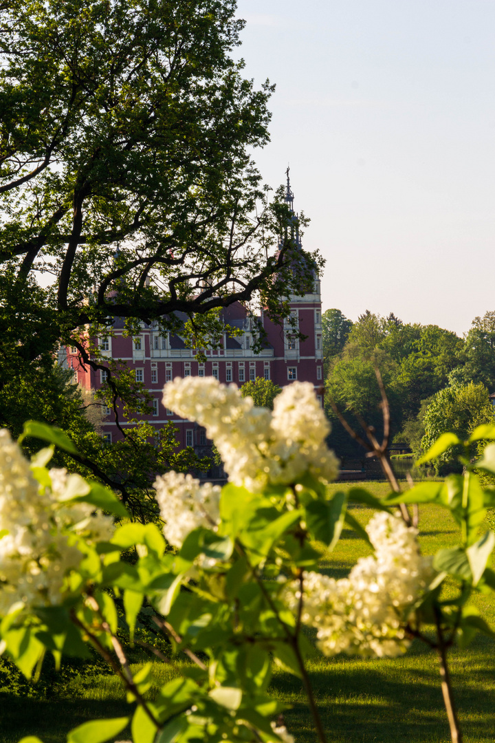 Schloss Bad Muskau