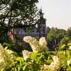 Schloss Bad Muskau