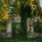 Schloss Bächingen im Dornröschenschlaf 