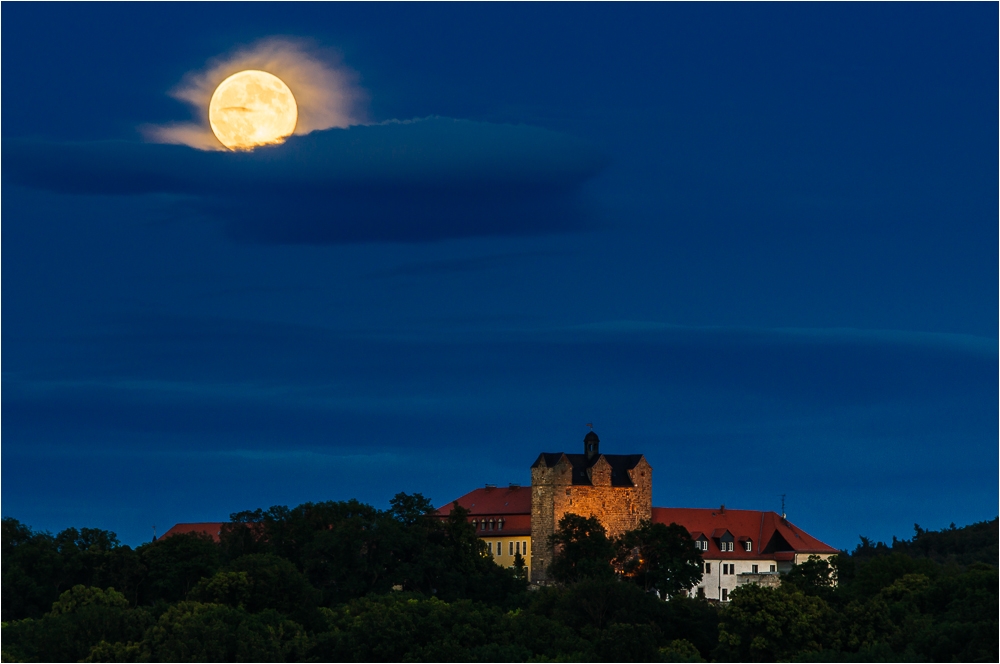 Schloss Ballenstedt