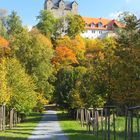 Schloss Ballenstedt