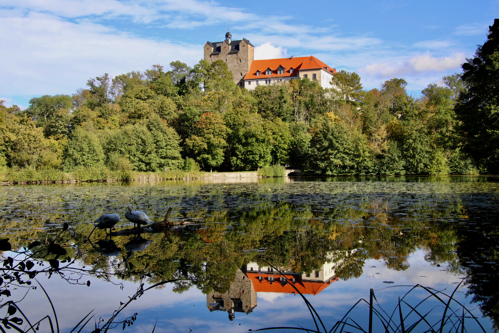 Schloß Ballenstedt