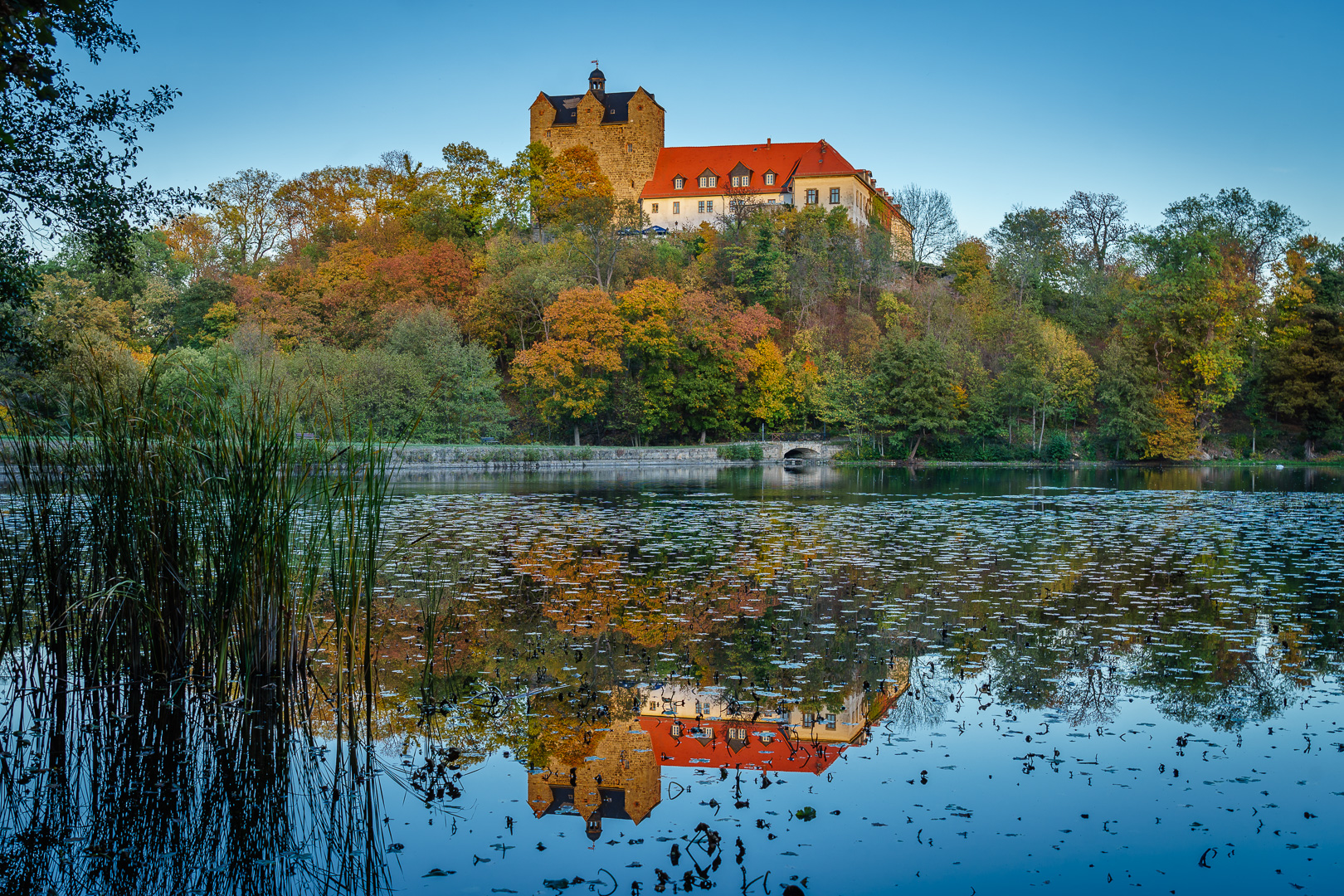 Schloss Ballenstedt - gespiegelt