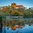 Schloss Ballenstedt - gespiegelt