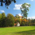 Schloss Ballenstedt III