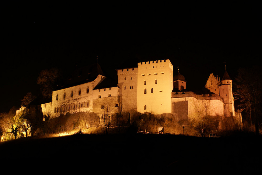 Schloss bei Nacht