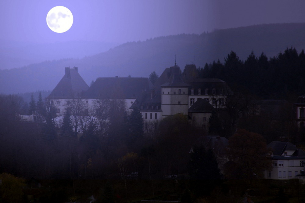 Schloss bei Vollmond