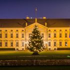 Schloss Bellevue - Weihnachten 2013