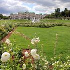 Schloss Belvedere 03