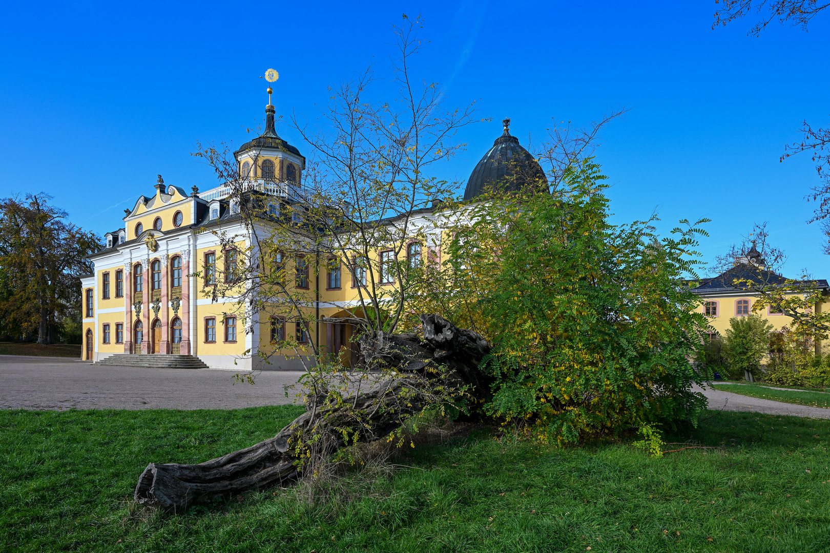 Schloss Belvedere 08