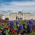 Schloss Belvedere - Wien